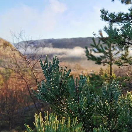 Cozy In The Gilja Paradise Feriehus