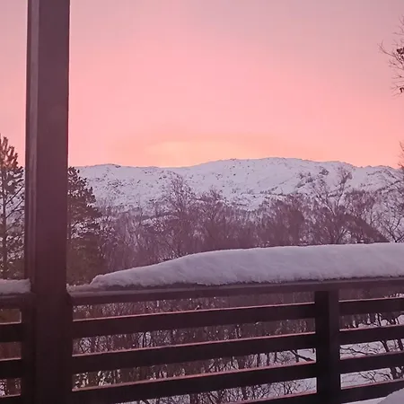 Cozy In The Gilja Paradise *