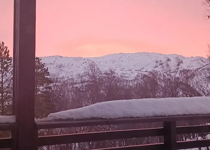 Cozy In The Gilja Paradise *